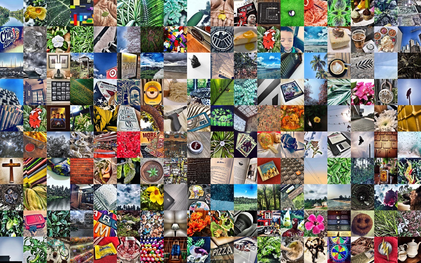 A Photo for Every Day in 2019 - Full Year